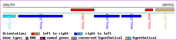 gene map