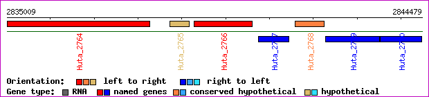 gene map