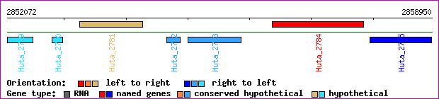 gene map