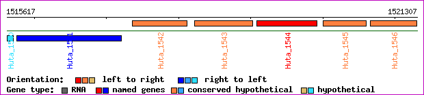 gene map