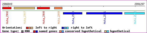 gene map