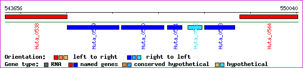 gene map