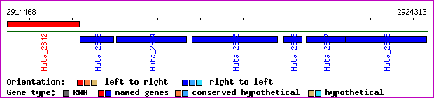 gene map