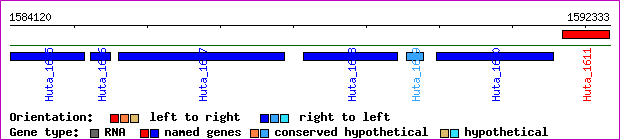 gene map