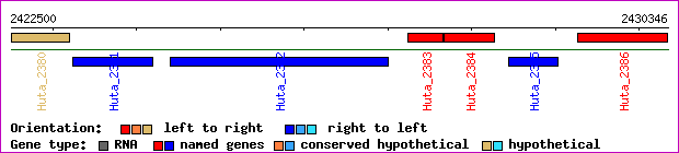 gene map