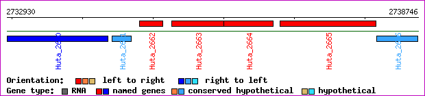 gene map