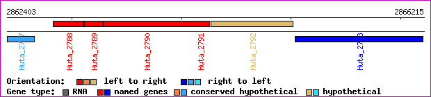 gene map