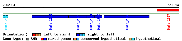 gene map