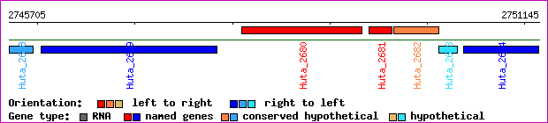 gene map