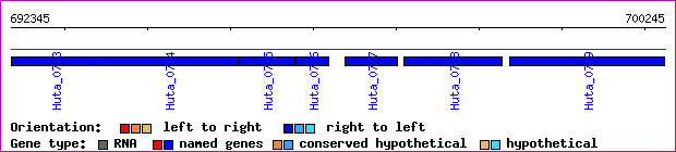 gene map