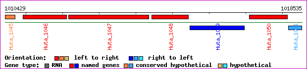 gene map