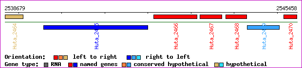 gene map