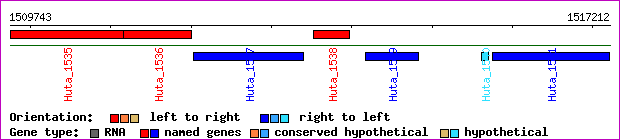 gene map