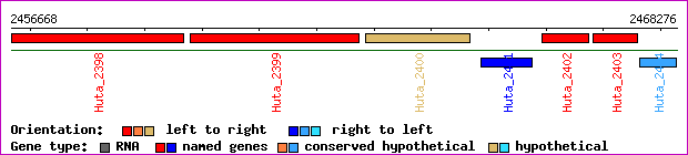 gene map