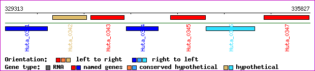gene map