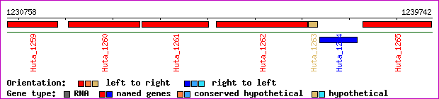 gene map
