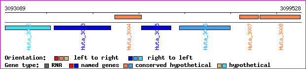 gene map