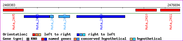 gene map