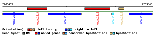 gene map
