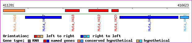 gene map