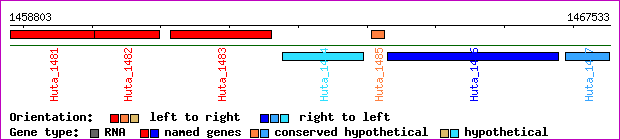 gene map