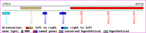 gene map