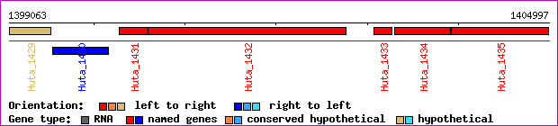 gene map
