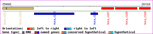 gene map