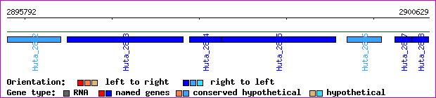gene map