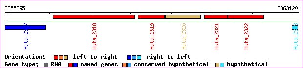 gene map