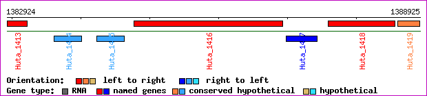 gene map
