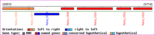 gene map