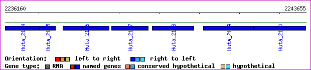 gene map