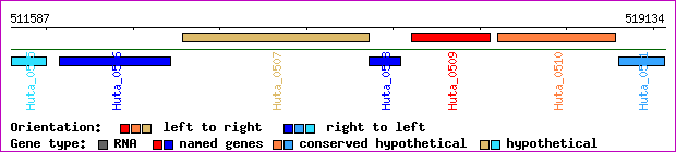 gene map