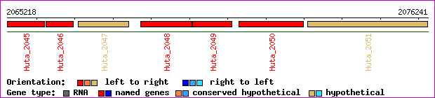 gene map