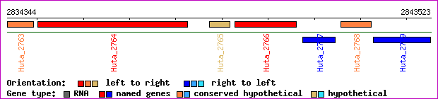 gene map