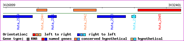 gene map