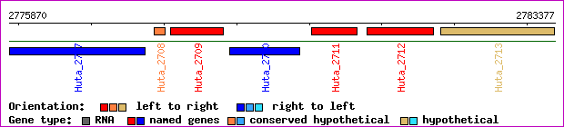 gene map