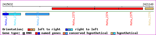 gene map