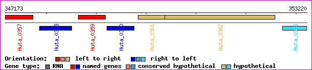 gene map