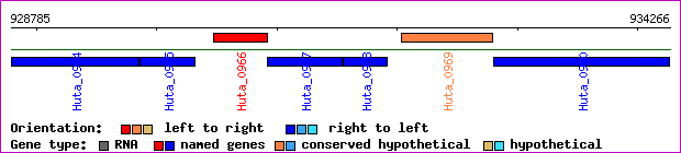 gene map