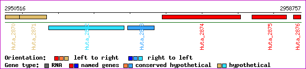 gene map