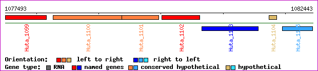 gene map