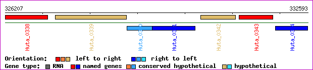 gene map