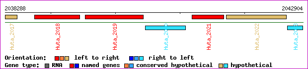 gene map