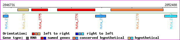 gene map