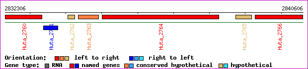 gene map