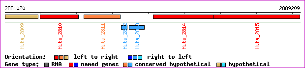gene map