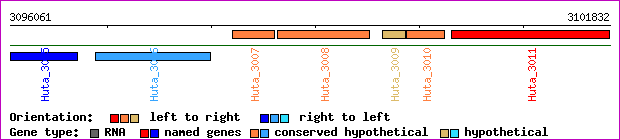 gene map