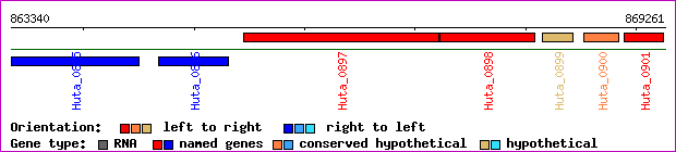 gene map